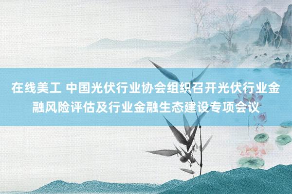 在线美工 中国光伏行业协会组织召开光伏行业金融风险评估及行业金融生态建设专项会议