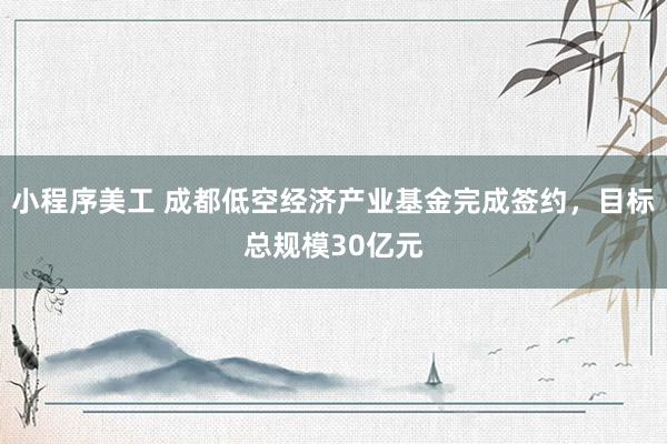 小程序美工 成都低空经济产业基金完成签约，目标总规模30亿元