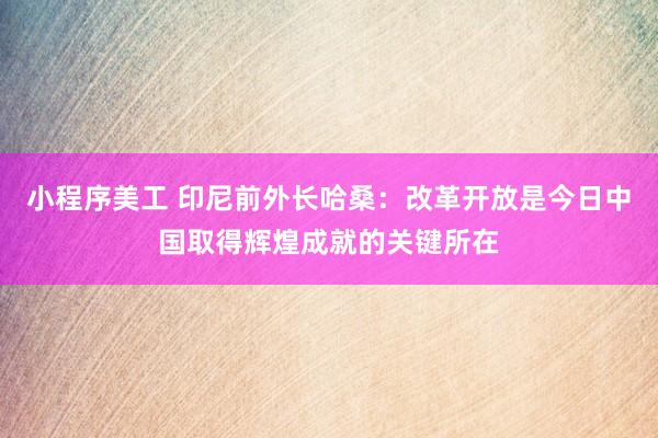 小程序美工 印尼前外长哈桑：改革开放是今日中国取得辉煌成就的关键所在