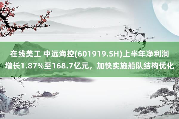 在线美工 中远海控(601919.SH)上半年净利润增长1.87%至168.7亿元，加快实施船队结构优化