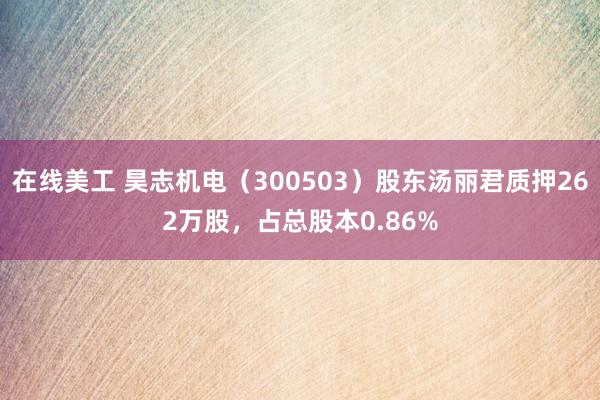 在线美工 昊志机电（300503）股东汤丽君质押262万股，占总股本0.86%