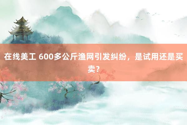 在线美工 600多公斤渔网引发纠纷，是试用还是买卖？